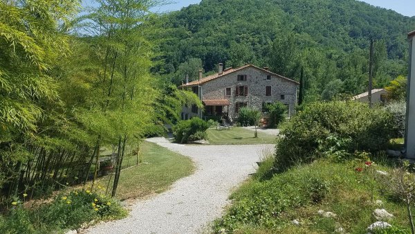 Commerce à vendre
